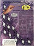 Glycine 1953 88.jpg